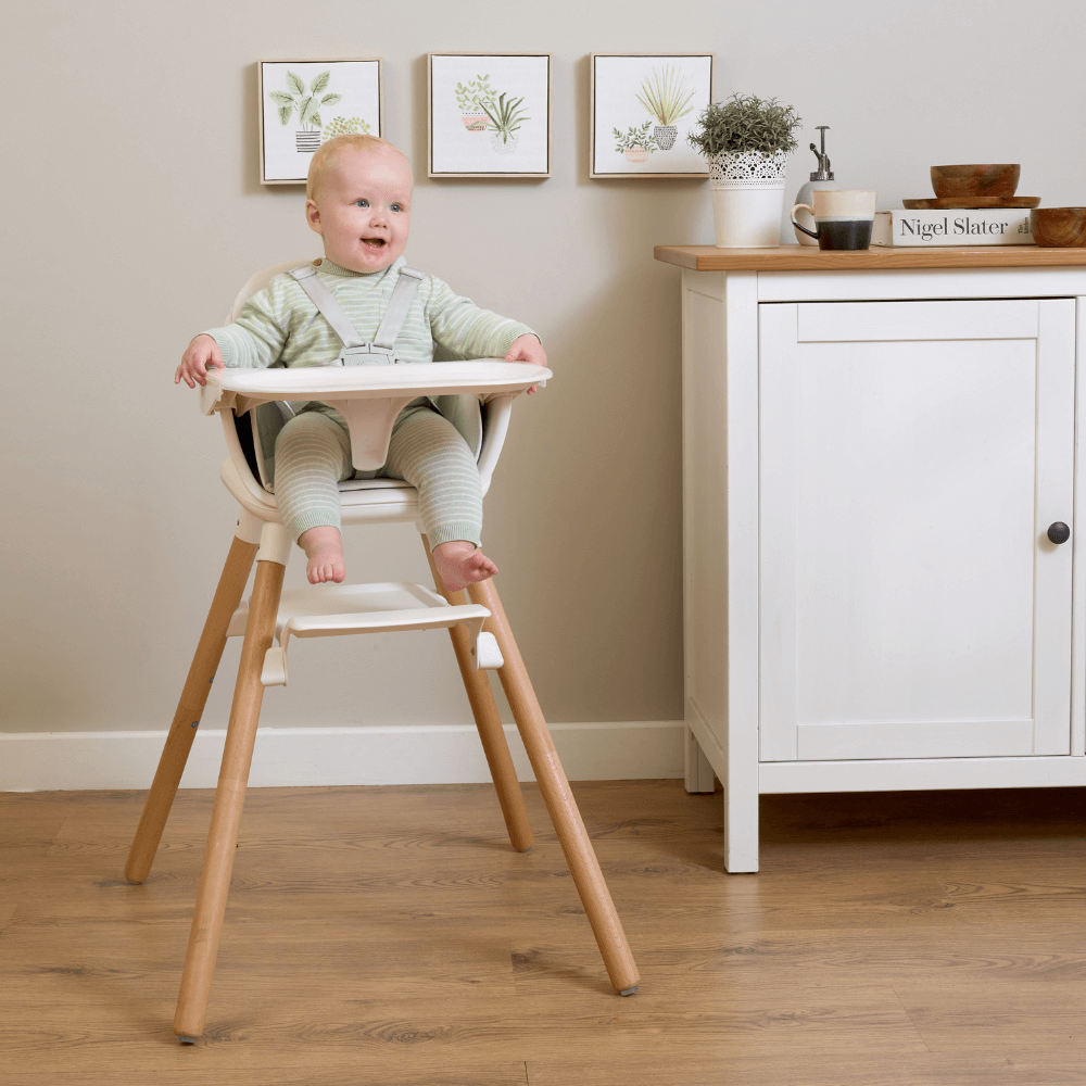 Clair De Lune 6-in-1 Eat & Play High Chair