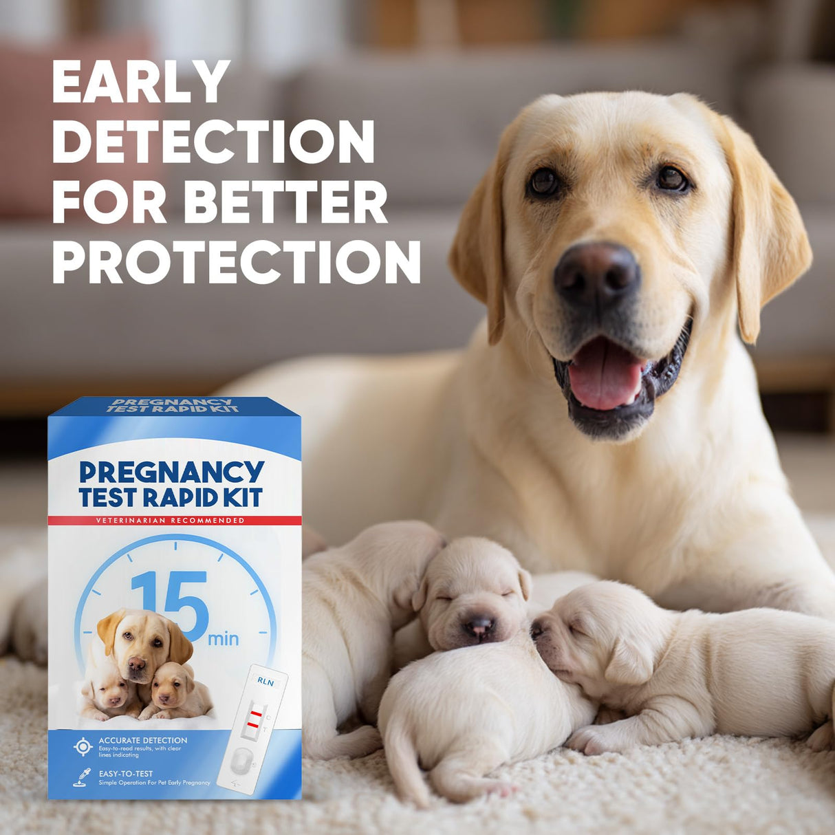 Jane Maternity & Breast Feeding Cushion