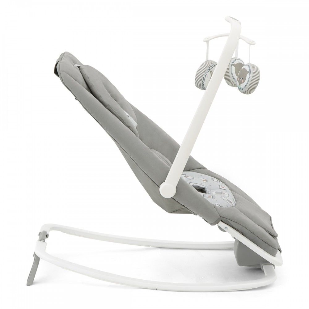 Joie Dreamer Rocker & Bouncer