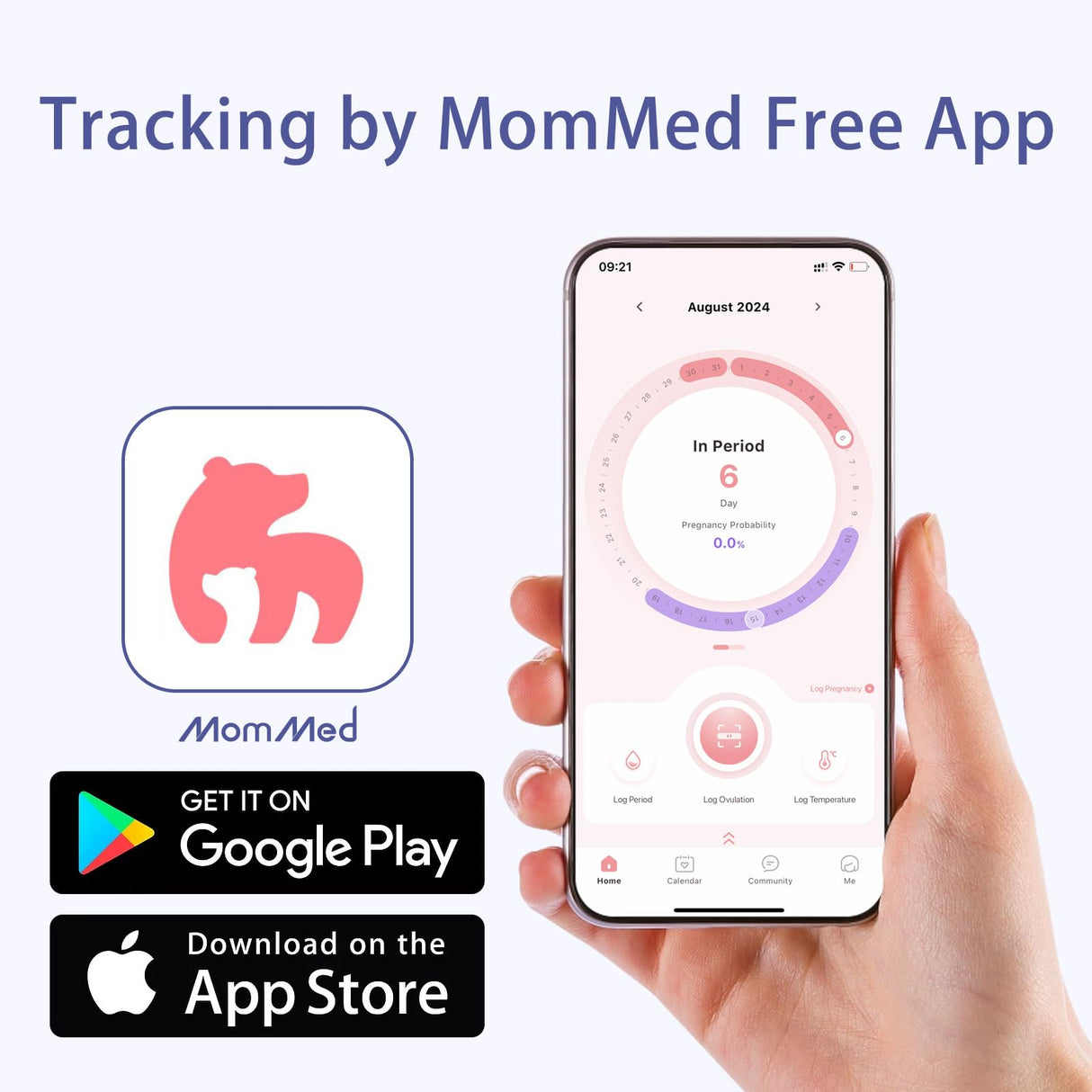 Jane Maternity & Breast Feeding Cushion