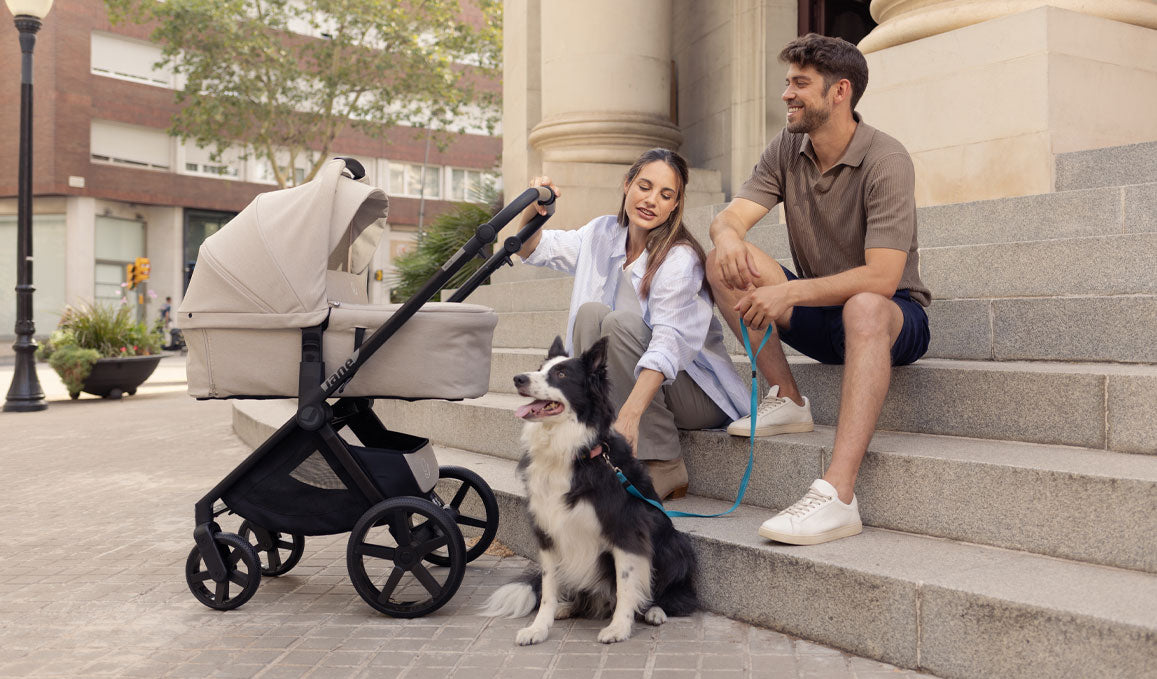 Jane Muum-4 + Sweet 2in1 Pram