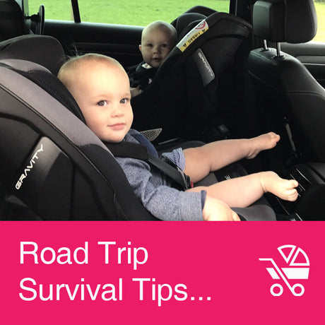 Road Trip Survival Guide