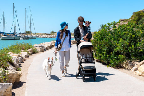 Buggies & Strollers