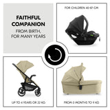 Hauck Shop N Care Trio Set