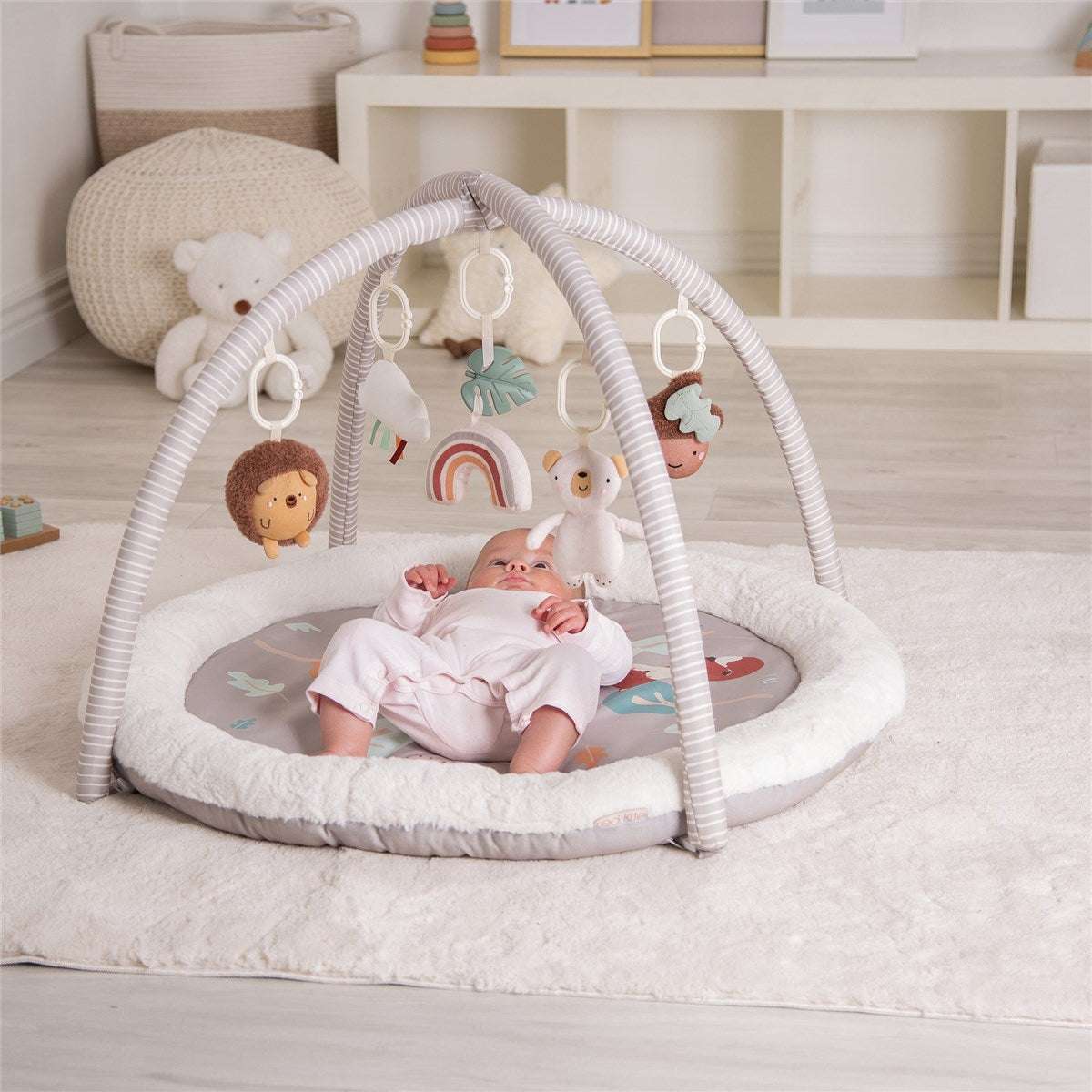 Red Kite Play Gym