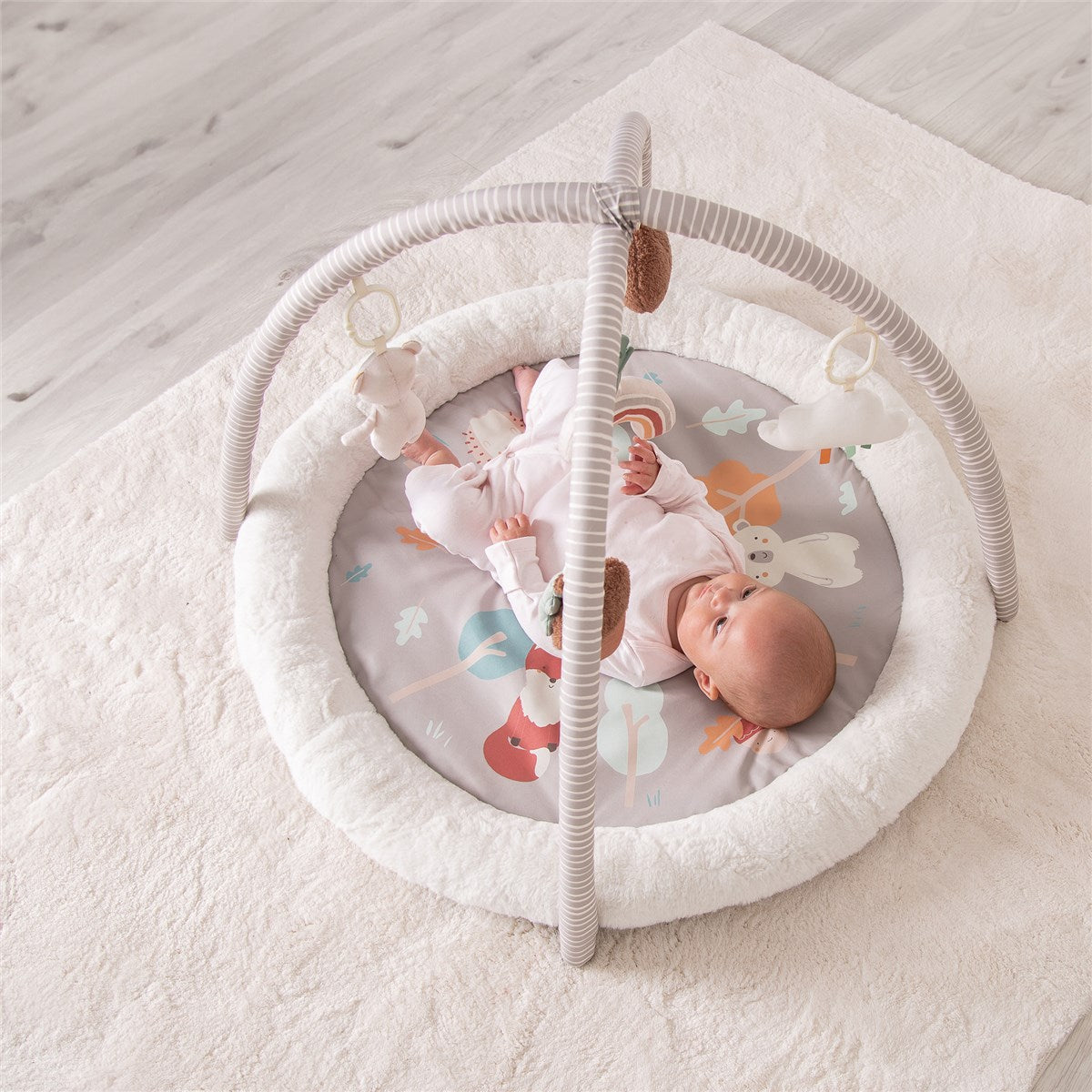 Red Kite Play Gym