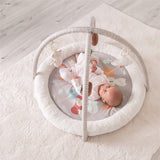 Red Kite Play Gym