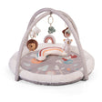 Red Kite Play Gym