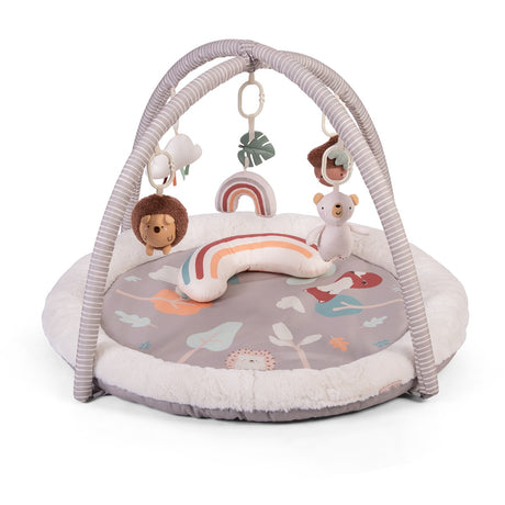 Red Kite Play Gym