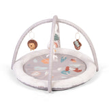 Red Kite Play Gym