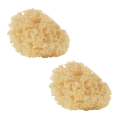 Jane Natural Sponges (2 Pack)