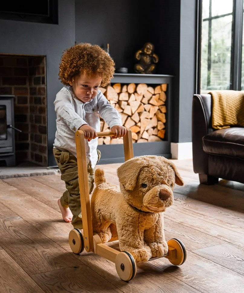 Little Bird Told Me Dexter Dog Push Along Baby Walker