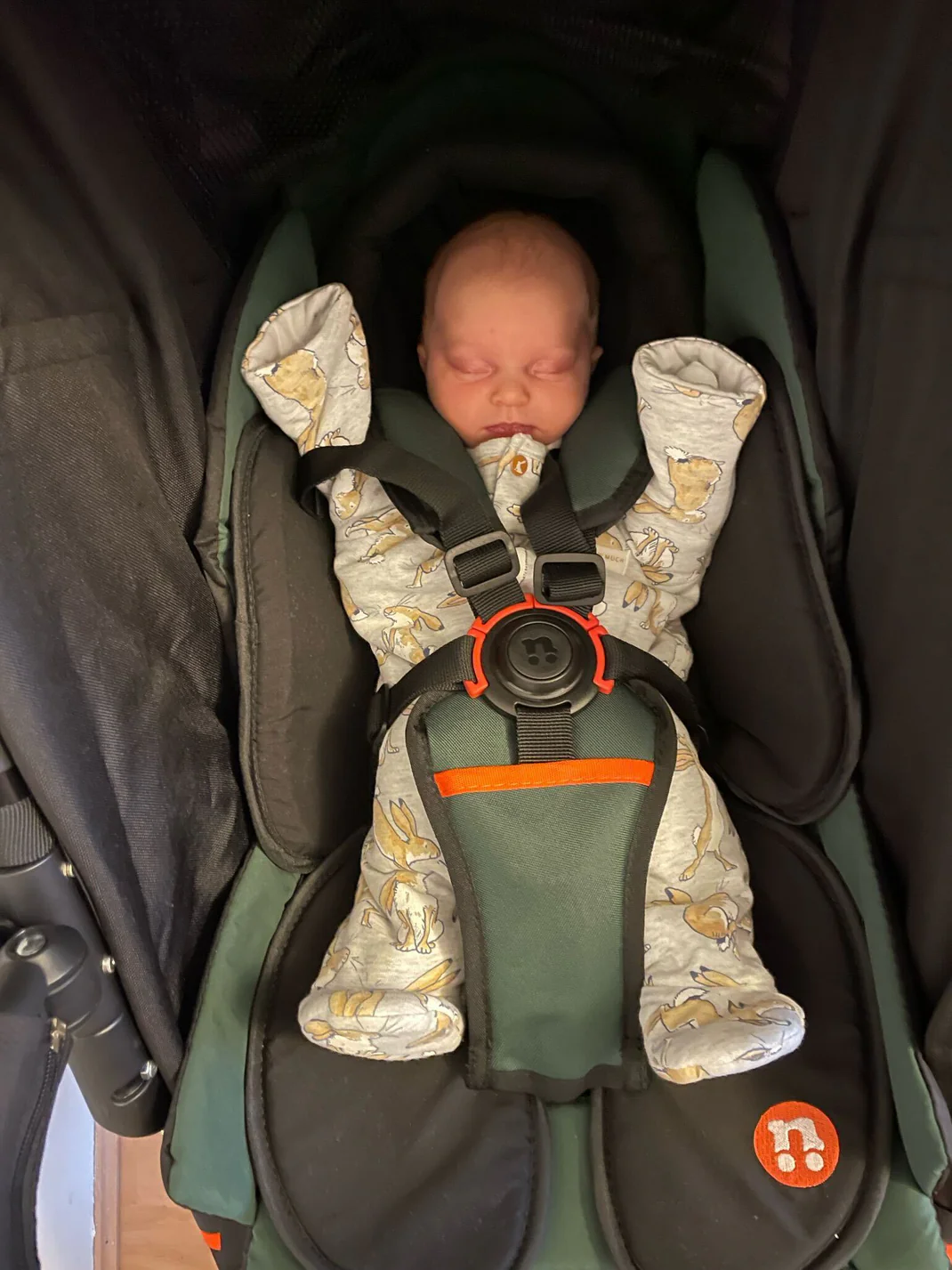 Out 'n' About V6 Newborn Support