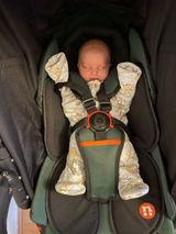 Out 'n' About V6 Newborn Support