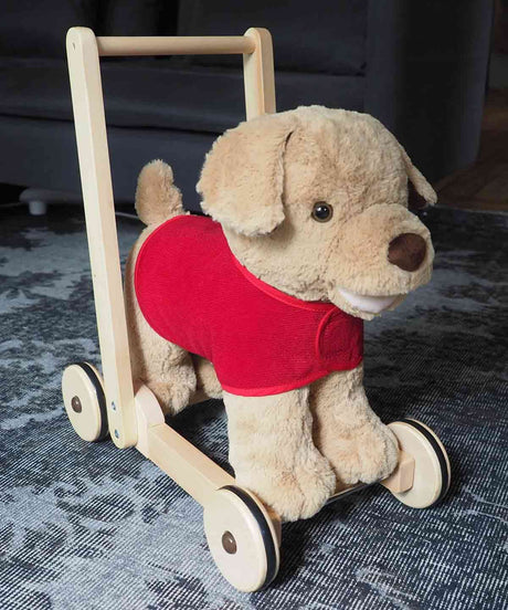 Little Bird Told Me Reversible Dog Coat for Push Along Baby Walkers