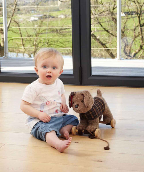 Little Bird Told Me Percy Pup 2-in-1 Pull Along Toy