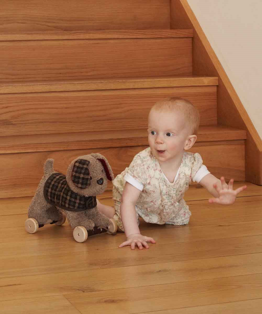 Little Bird Told Me Percy Pup 2-in-1 Pull Along Toy