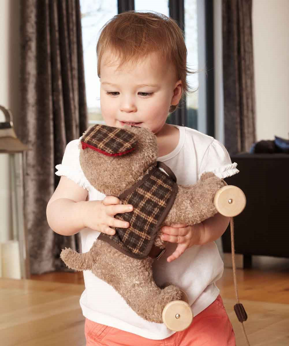 Little Bird Told Me Percy Pup 2-in-1 Pull Along Toy
