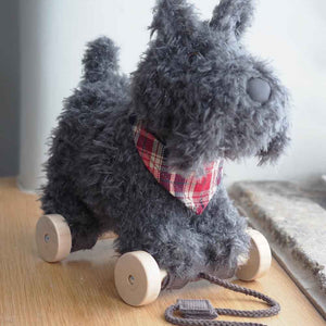Push & Pull Along Toys