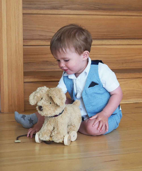 Little Bird Told Me Dexter Dog 2-in-1 Pull Along Toy