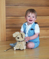 Little Bird Told Me Dexter Dog 2-in-1 Pull Along Toy