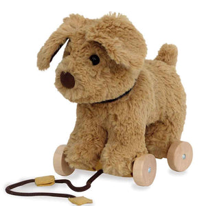 Push & Pull Along Toys