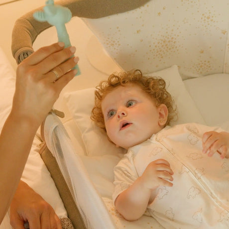 Jane Giraffe silicone teether