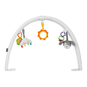ClevaMama ClevaFoam Baby Pod Play Arch