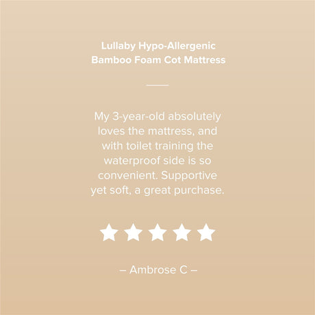 CuddleCo Lullaby Hypo-Allergenic Bamboo Foam Mattress