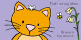 Rainbow Designs That's Not My Kitten Book