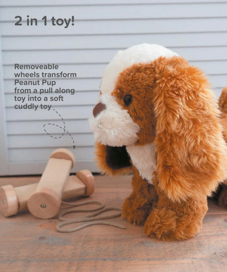 Little Bird Told Me Peanut Pup Pull Along Toy
