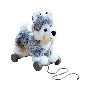 Push & Pull Along Toys
