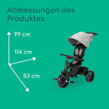 Bebeconfort Windy Baby Trike with Parent Handle, 10m - 4 Years, 0-25 Kg