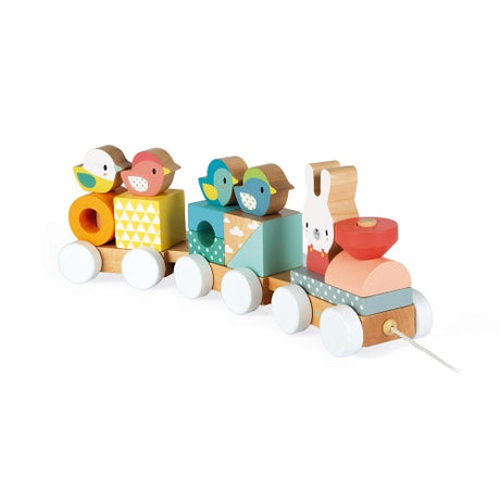 Janod Pure Wooden Train