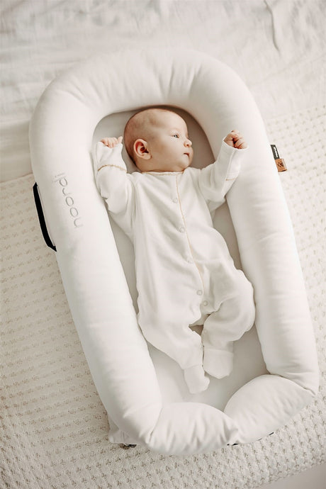 Noordi 2in1 Baby Nest + Maternity Pillow
