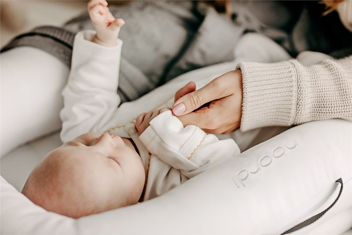 Noordi 2in1 Deluxe Baby Nest + Maternity Pillow