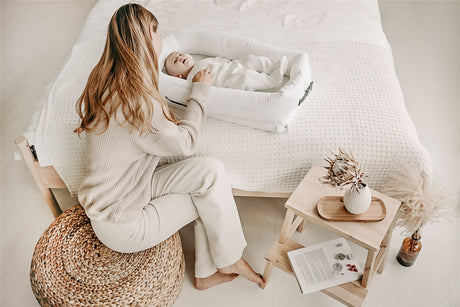 Noordi 2in1 Deluxe Baby Nest + Maternity Pillow