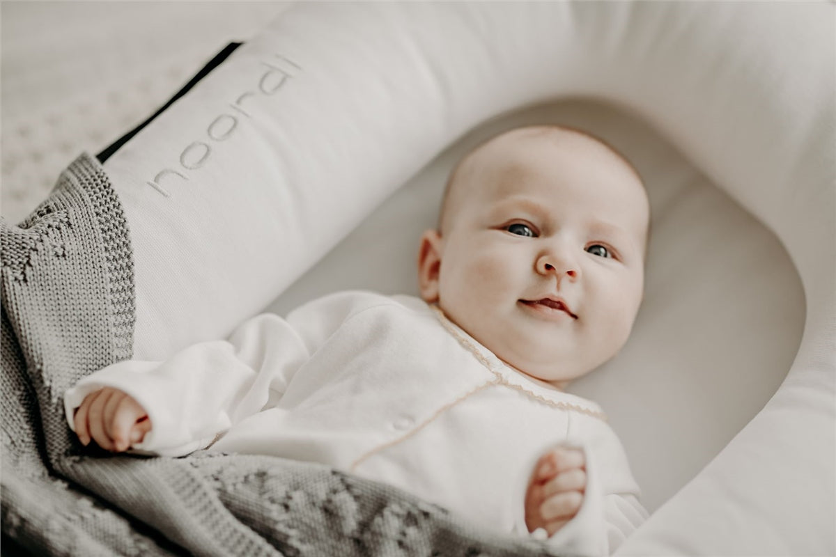 Noordi 2in1 Deluxe Baby Nest + Maternity Pillow
