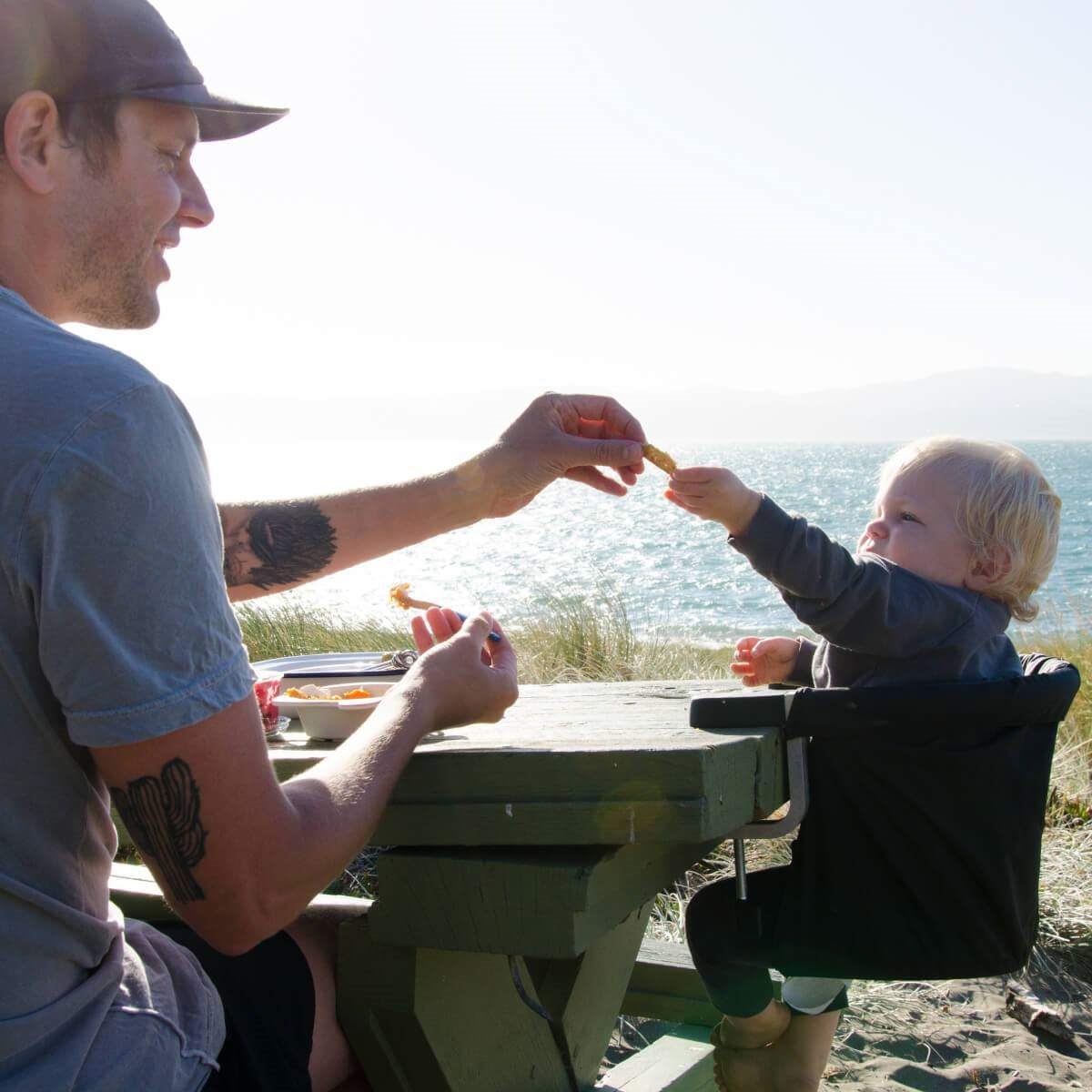 Mountain Buggy Pod Highchair