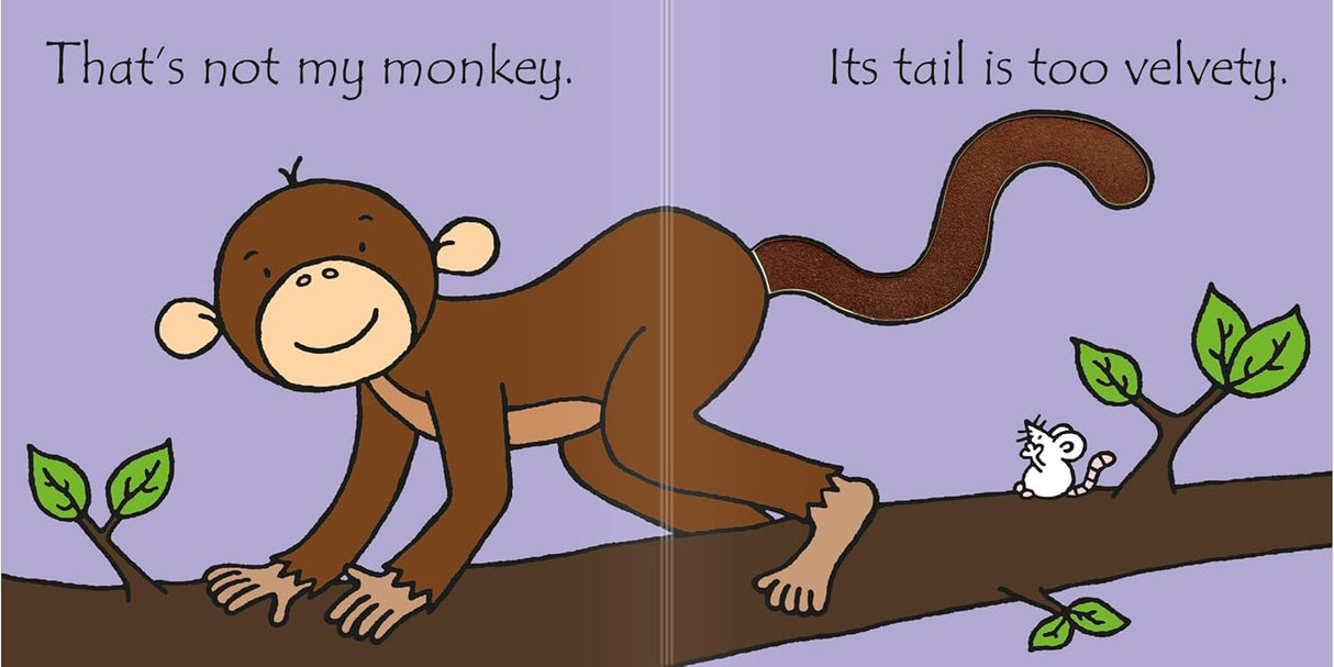 Rainbow Designs That's Not My Monkey Book