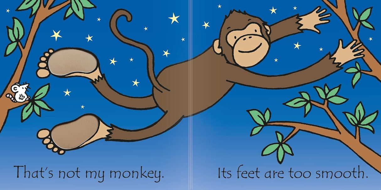 Rainbow Designs That's Not My Monkey Book