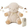 Plush lamb toy with sound module on a white background