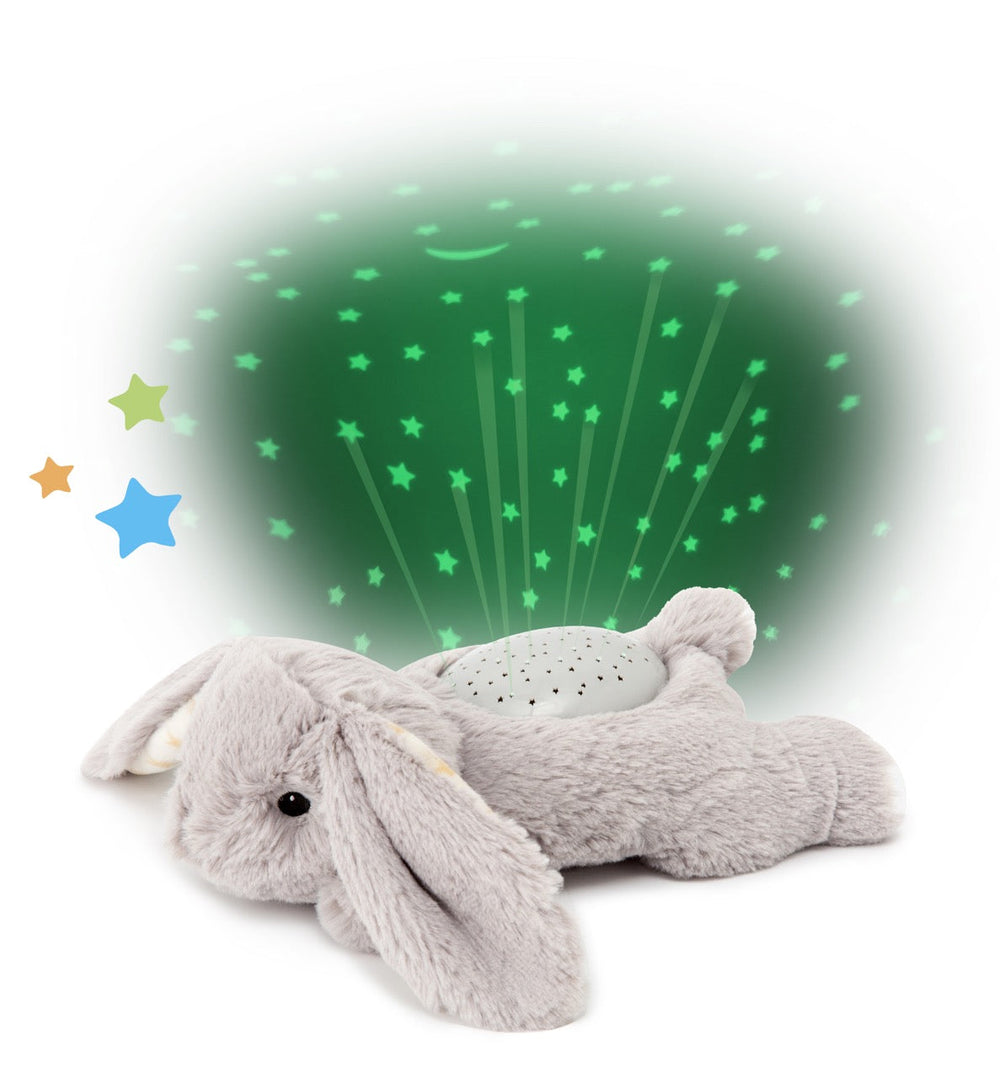 Cloud B Dream Buddies® Night Light