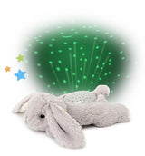 Cloud B Dream Buddies® Night Light