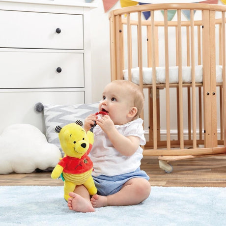 Rainbow Designs Winnie the Pooh Activity Toy
