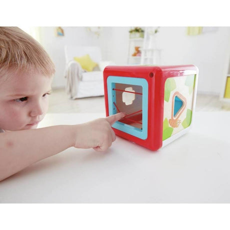 Hape Shape Sorting Box