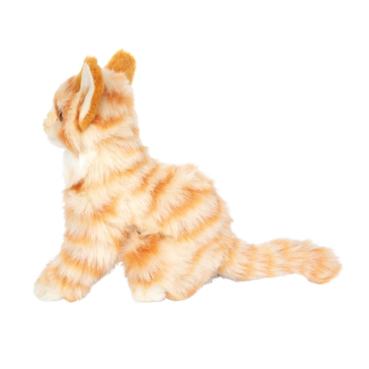Hansa Ginger Kitten