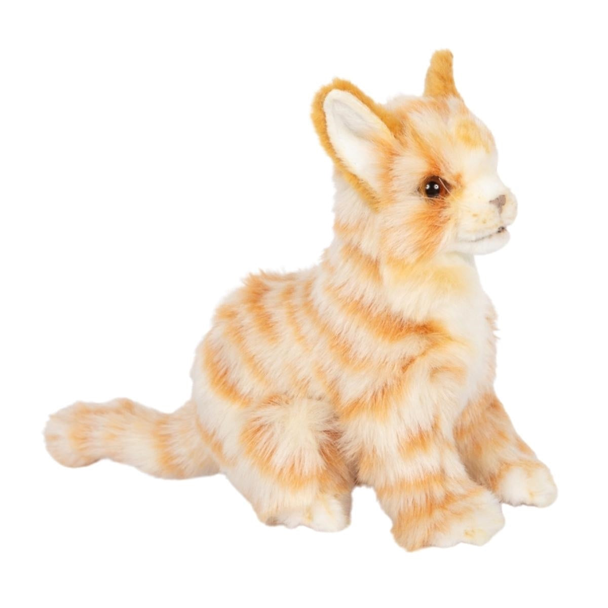 Ginger Kitten