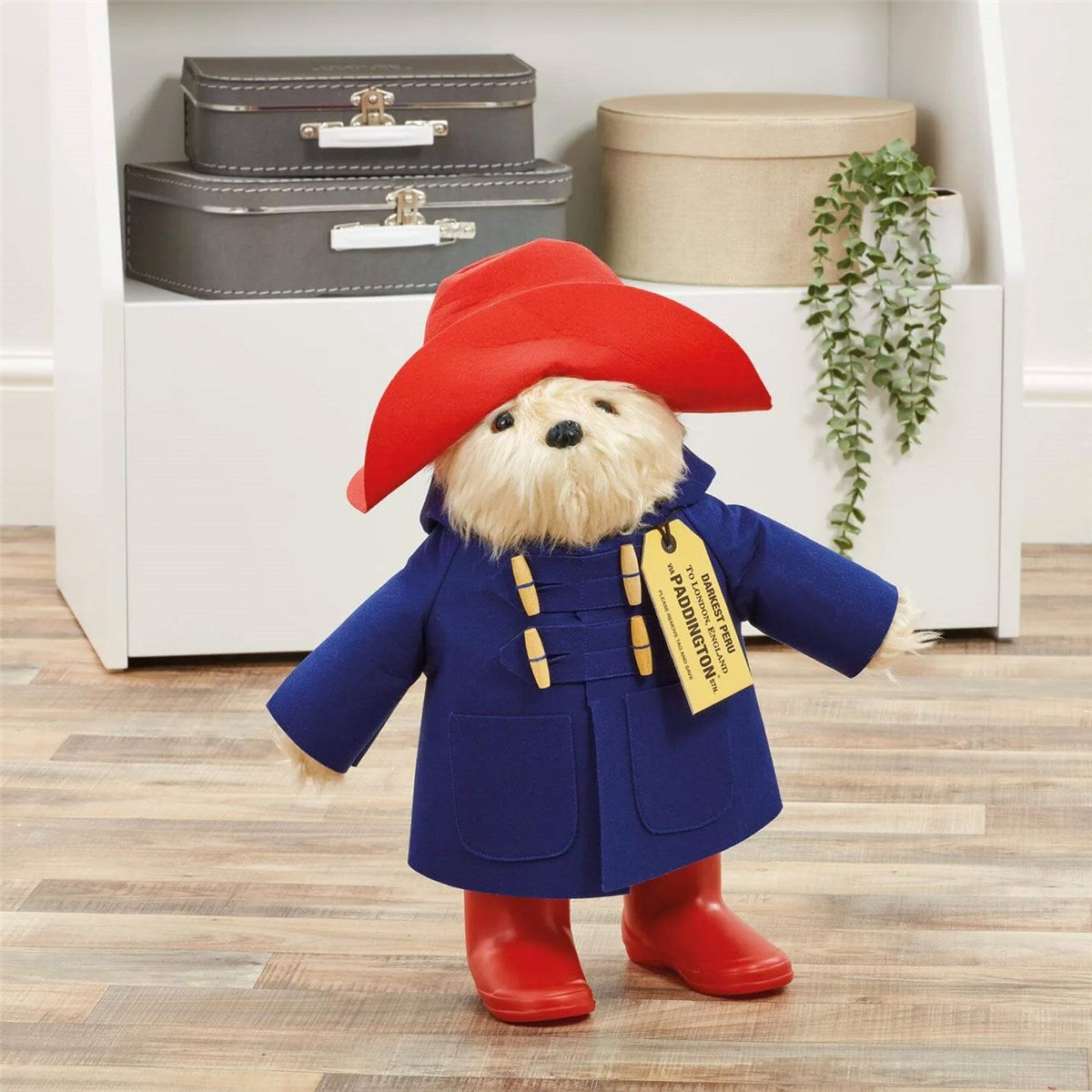 Rainbow Designs Large 49cm Collector Paddington Bear – Samuel Johnston