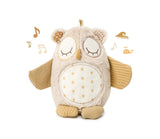 Cloud B Nighty Night Owl Smart Sensor